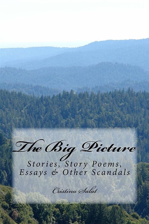 The Big Picture: Stories, Story Poems, Essays & Other Scandals (Paperback)