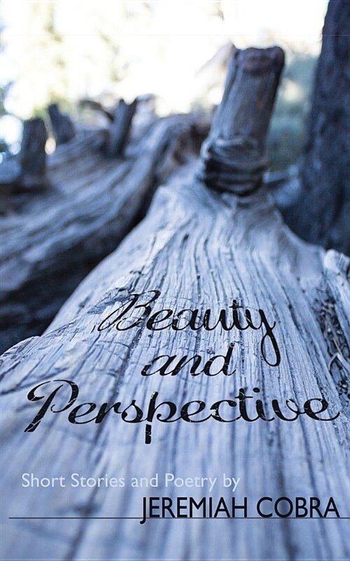 Beauty and Perspective (Paperback)