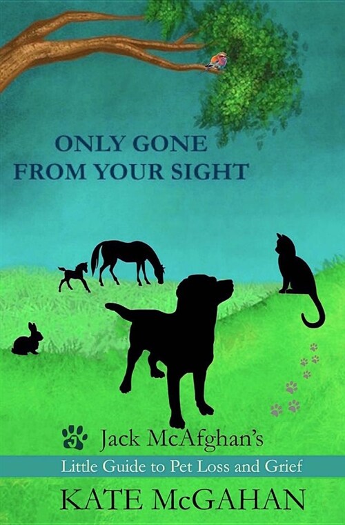 Only Gone from Your Sight: Jack McAfghans Little Guide to Pet Loss and Grief (Paperback)