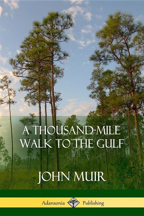 A Thousand-Mile Walk to the Gulf (Paperback)