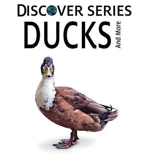 Ducks (Paperback)