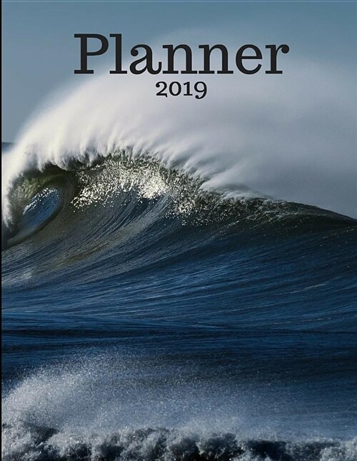 Planner 2019 (Paperback)