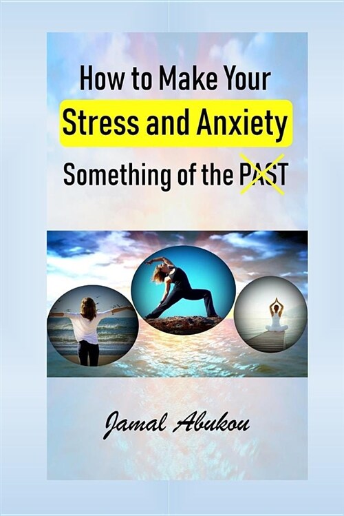 How to Make Your Stress and Anxiety Something of the Past (Paperback)