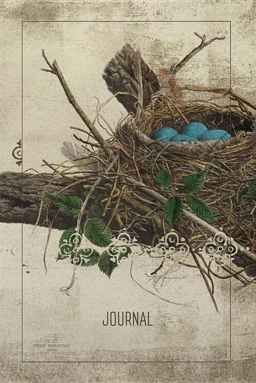 Journal: Robin Nest Collage Art Lined Paper Blank Pages (Notebook, Diary) (Paperback)