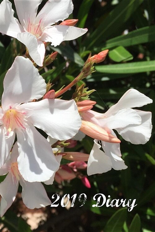 2019 Diary: Nerium Oleander Week to View Planner (6x9 80 Pages A5) (Paperback)