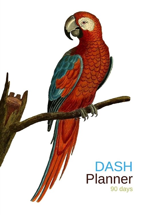 Dash Planner: A Daily Food Journal to Help You Track Your Meals Following the Dash Diet Eating Plan and Weight Loss Program, 90 Days (Paperback)