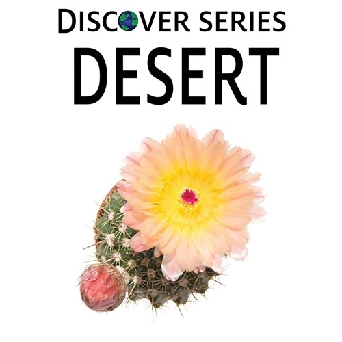 Desert (Paperback)