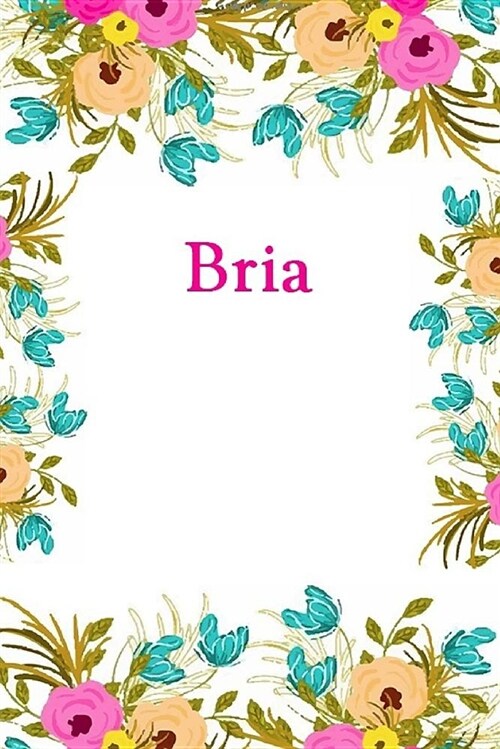 Bria: Bria Journal Diary Notebook (Paperback)