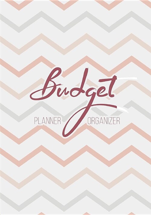 Budget Planner Organizer: Budget Organizer Journal Notebook Finance Planner, Money Organizer, Debt Tracker. 12 Month Budget Planner Book (Paperback)