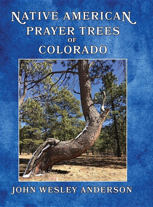 Native American Prayer Trees of Colorado (Hardcover)