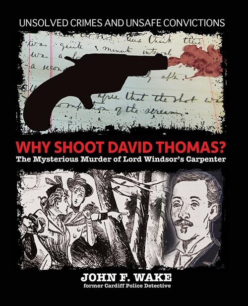 Why Shoot David Thomas? : The Mysterious Murder of Lord Windsors Carpenter (Paperback)