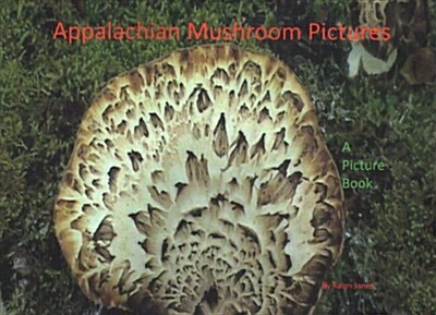 Appalachian Mushroom Pictures (Paperback)