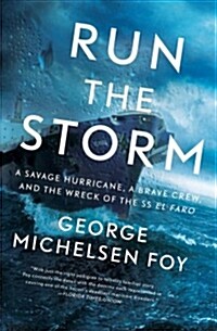 Run the Storm (Paperback)