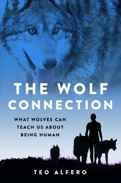 The Wolf Connection: What Wolves Can Teach Us about Being Human (Hardcover)