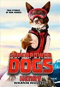 Superpower Dogs: Henry: Avalanche Rescue Dog (Paperback)