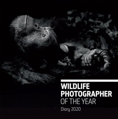 Wildlife Photographer of the Year Desk Diary 2020 (Hardcover, None ed.)
