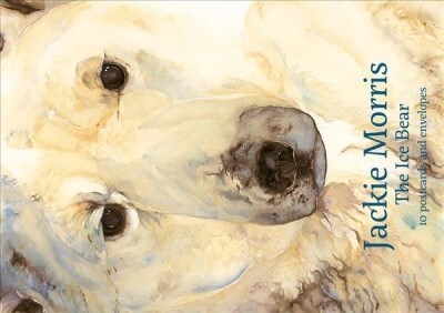 Jackie Morris Postcard Pack: The Ice Bear (Record book)