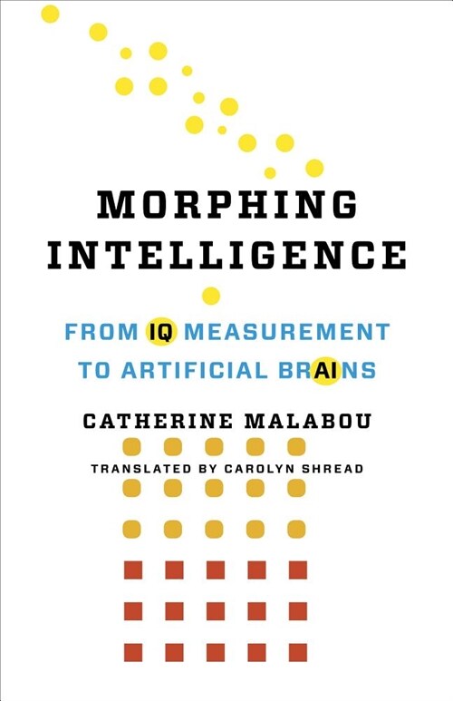 Morphing Intelligence: From IQ Measurement to Artificial Brains (Hardcover)