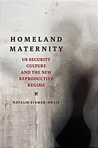 Homeland Maternity: Us Security Culture and the New Reproductive Regime (Paperback)