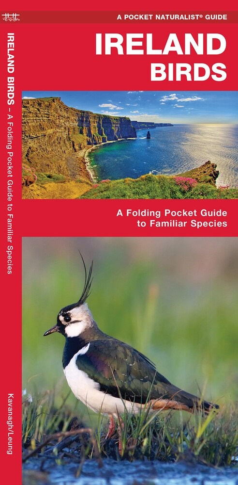 Ireland Birds: A Folding Pocket Guide to Familiar Species (Other, 2)