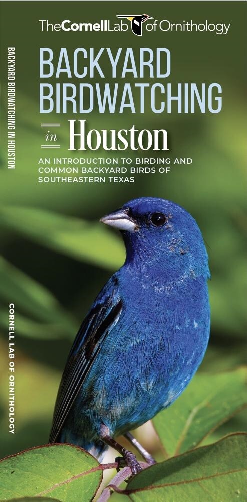 Backyard Birdwatching in Houston: An Introduction to Birding and Common Backyard Birds of Southeastern Texas (Other)