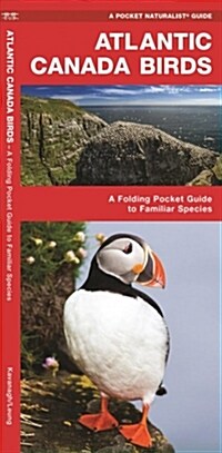 Atlantic Canada Birds: A Folding Pocket Guide to Familiar Species (Other)