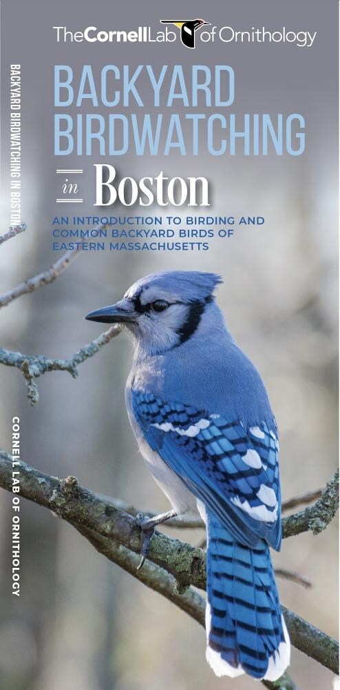 Backyard Birdwatching in Boston: An Introduction to Birding and Common Backyard Birds of Eastern Massachusetts (Other)