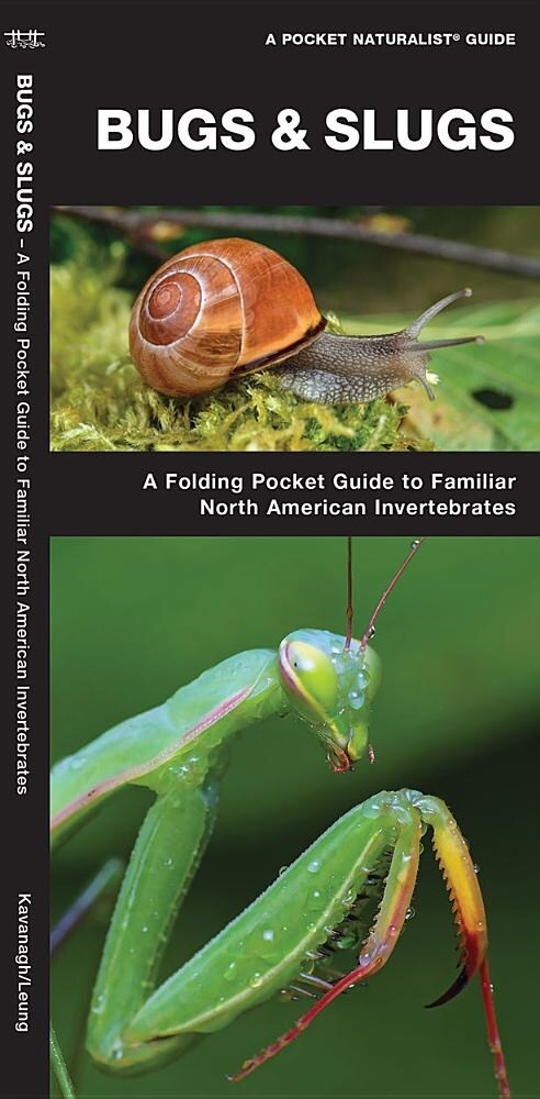 Bugs & Slugs: A Folding Pocket Guide to Familiar North American Invertebrates (Other, 2)