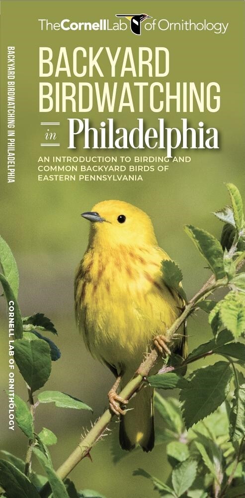 Backyard Birdwatching in Philadelphia: An Introduction to Birding and Common Backyard Birds of Eastern Pennsylvania (Other)