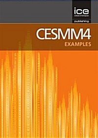 CESMM4: Examples (Paperback)