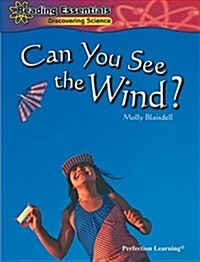 Can You See the Wind? (Hardcover)