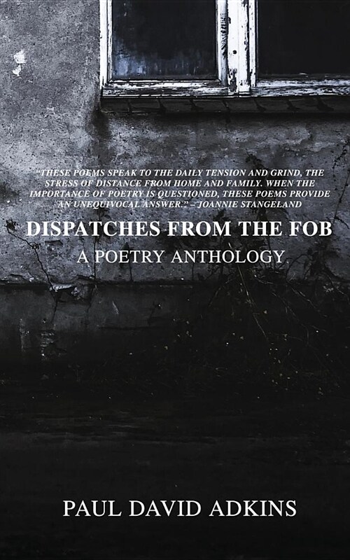 Dispatches from the Fob (Paperback)