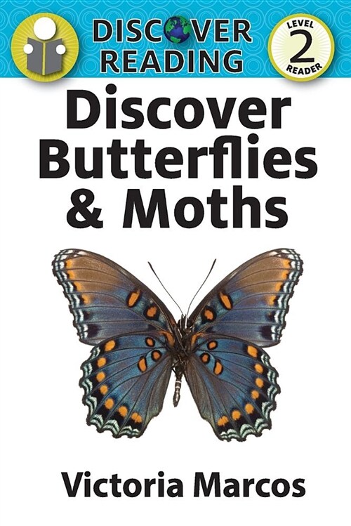Discover Butterflies & Moths (Paperback)