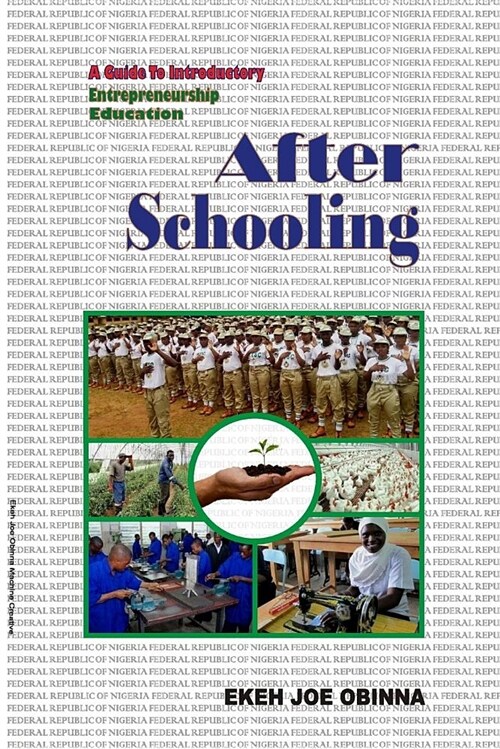 After Schooling: A Guide to Introductory Entrepreneurship Education (Paperback)