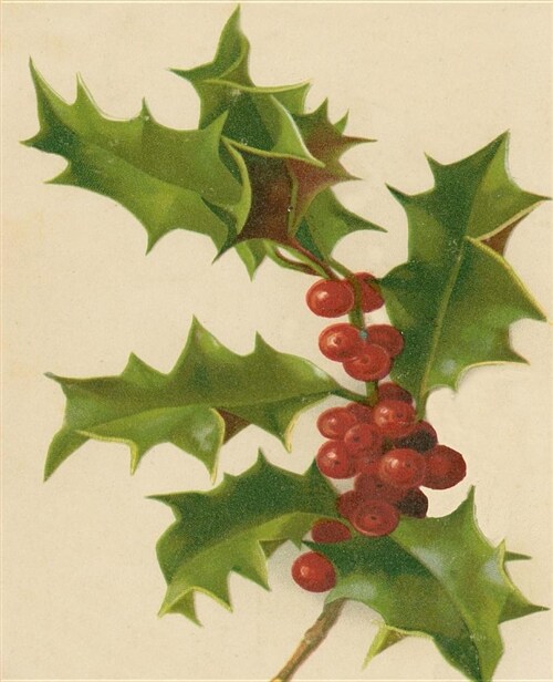 Vintage Christmas Holly Berries School Comp Book 130 Pages: (notebook, Diary, Blank Book) (Paperback)