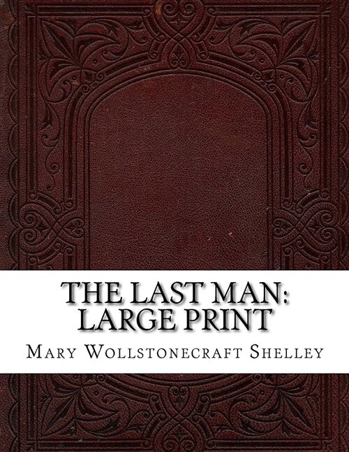 The Last Man: Large Print (Paperback)