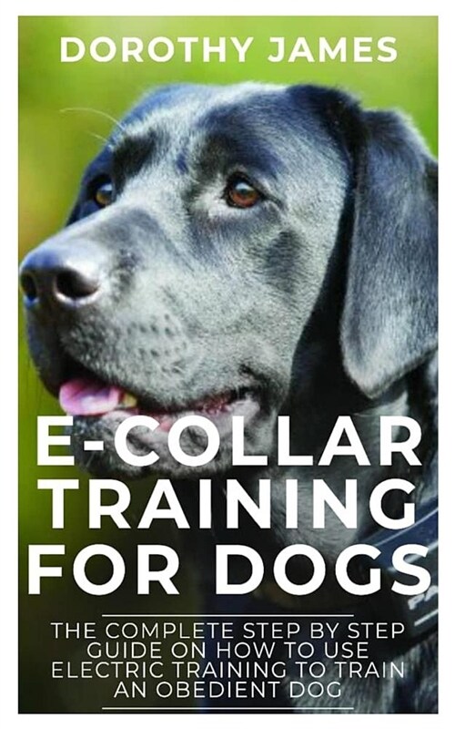 E-Collar Training for Dogs: The Complete Step by Step Guide on How to Use Electronic Training Collar to Train an Obedient Dog (Paperback)