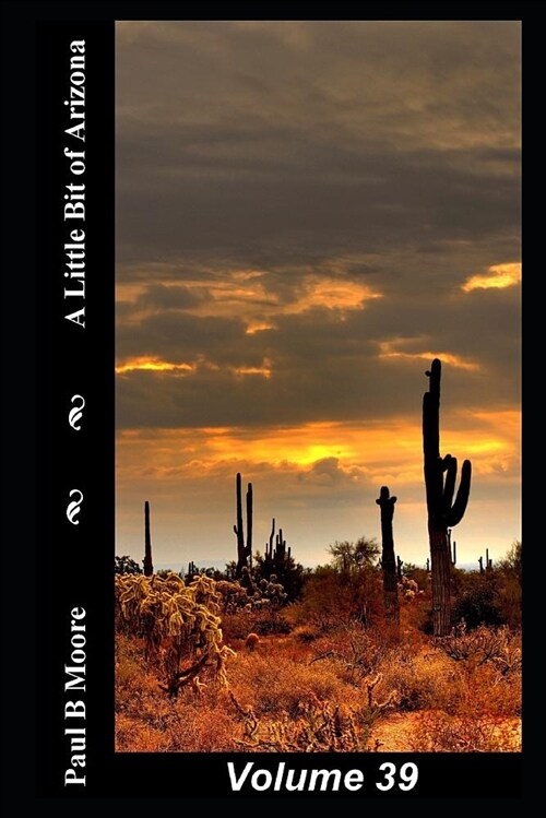 A Little Bit of Arizona: Volume 39 (Paperback)