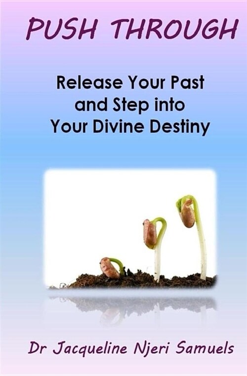 Push Through: Release Your Past and Step Into Your Divine Destiny (Paperback)
