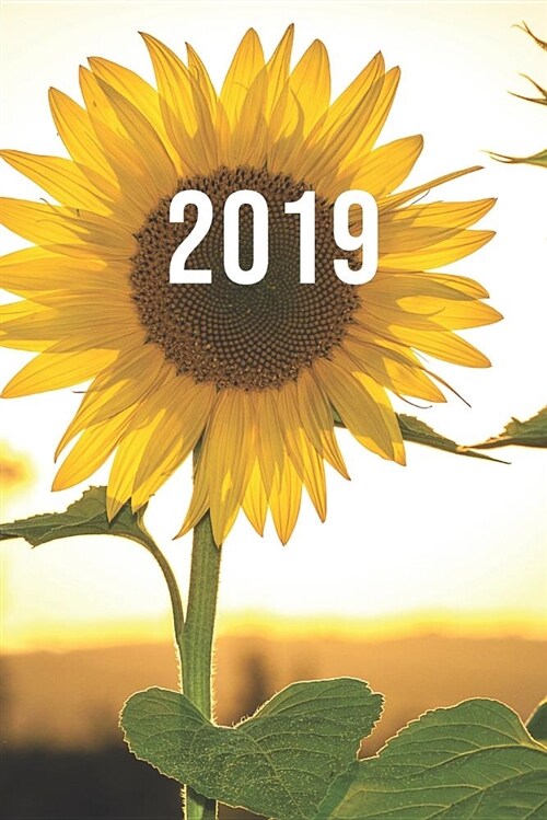 2019: Jan - Dez Wochenplaner - 365 Tage Terminkalender Mit Uhrzeit - 1 Tag Auf 1 Seite, Ca. A5 - Sonnenblume (Paperback)