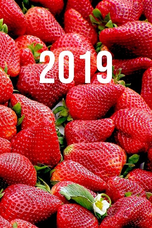 2019: Jan - Dez Wochenplaner - 365 Tage Terminkalender Mit Uhrzeit - 1 Tag Auf 1 Seite, Ca. A5 - Erdbeeren (Paperback)