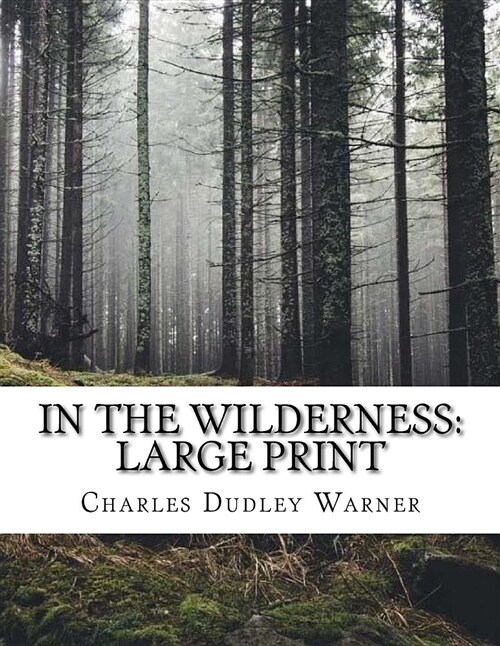 In the Wilderness: Large Print (Paperback)