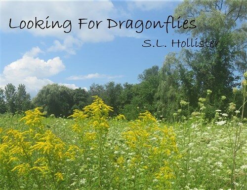 Looking for Dragonflies (Paperback)