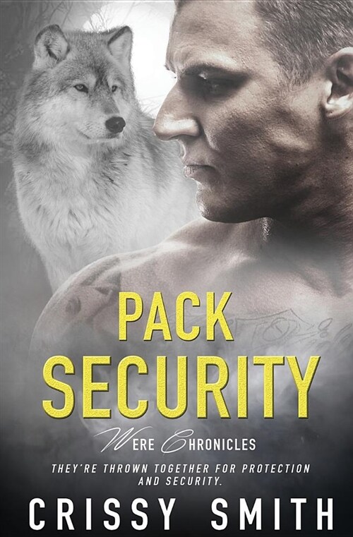 Pack Security (Paperback)