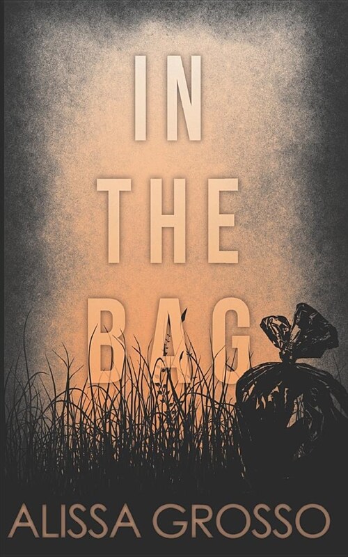 In the Bag: A Novella (Paperback)