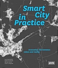 Smart City in Practice: Innovation Lab Between Vision and Reality (Paperback)