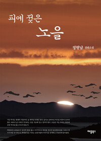 피에 젖은 노을 : 정형남 장편소설 커버