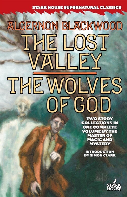 The Lost Valley / the Wolves of God (Paperback)