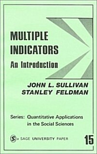 Multiple Indicators: An Introduction (Paperback)