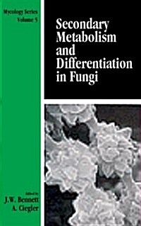 Secondary Metabolism and Differentiation in Fungi (Hardcover)